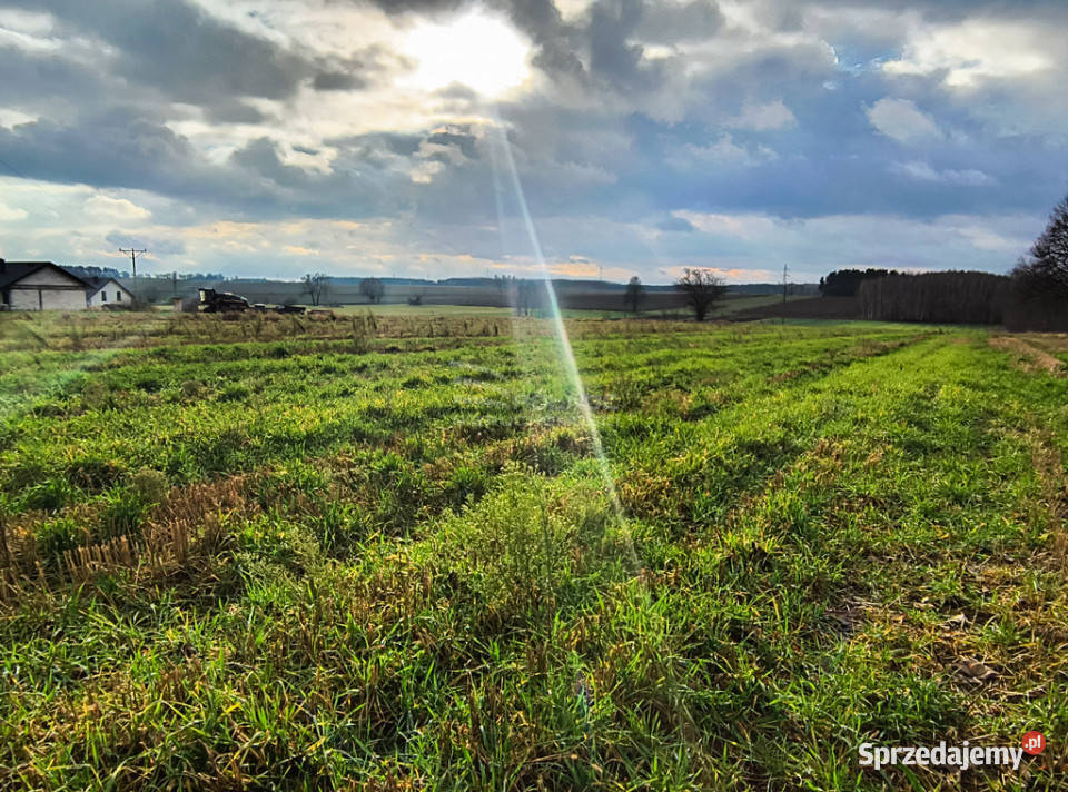 Wyjątkowe działki zalewem w Janowie Podlaskim sprzedam