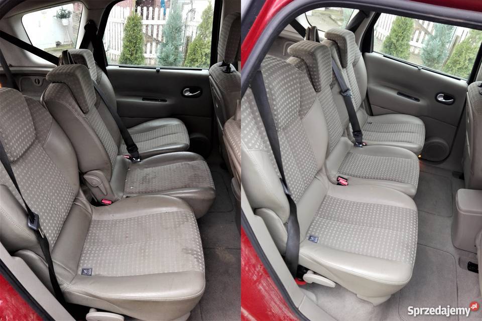 Pranie dywanów wykładzin i tapicerki międzyrzecz