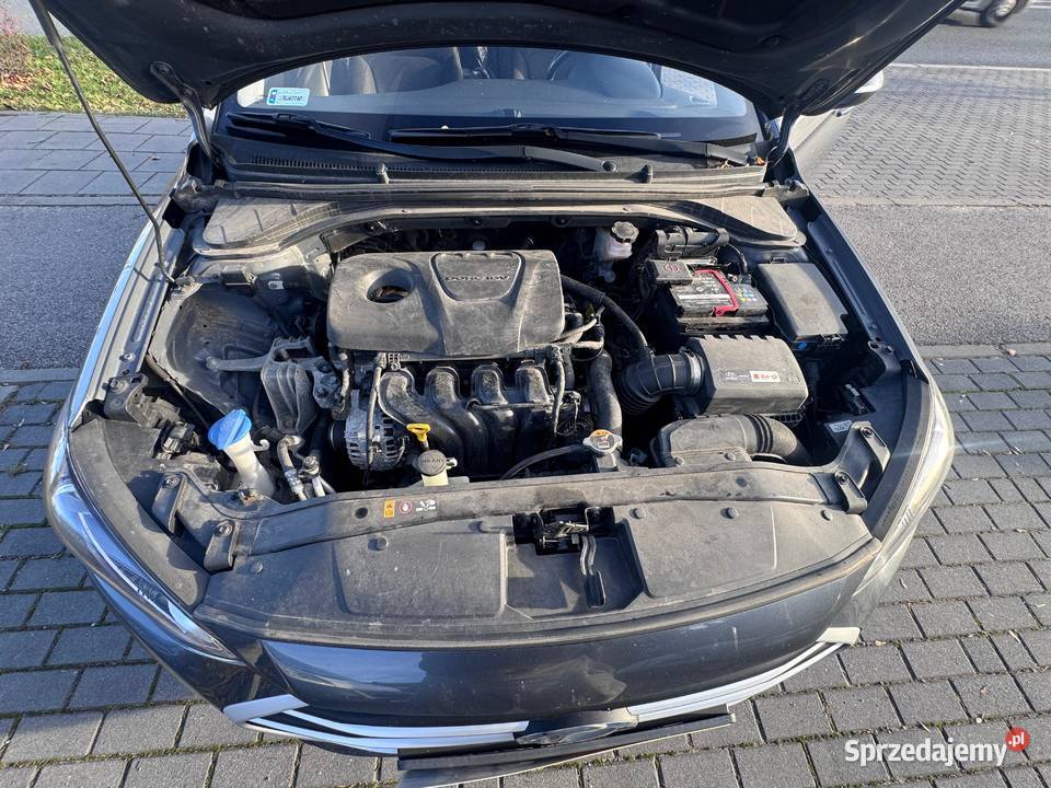 Hyundai Elantra VI 16 Benzyna 2017 Zadbany Klima