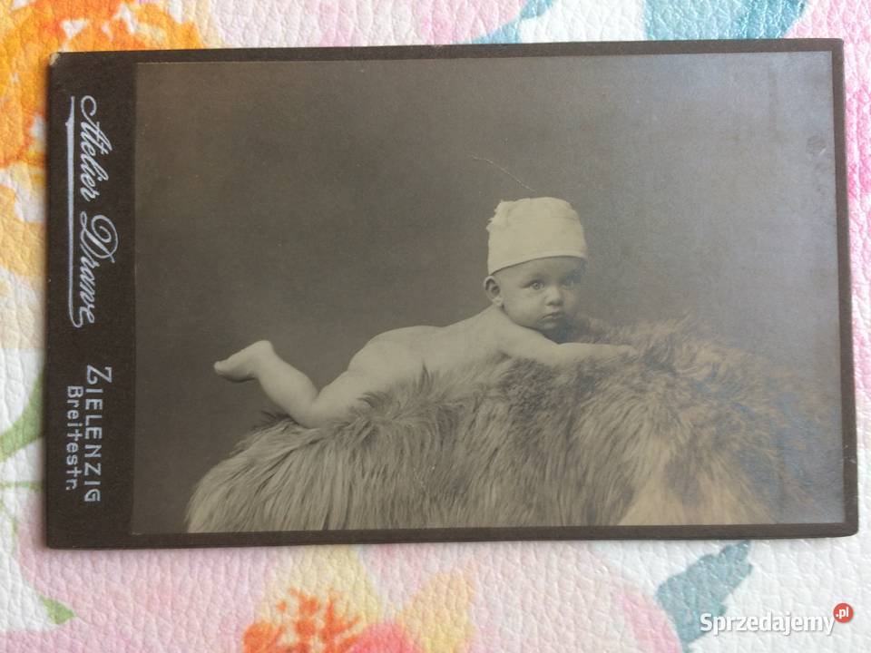 1241 SULĘCIN Niemieckie Zdjęcie Kartonikowe Szczecin sprzedam