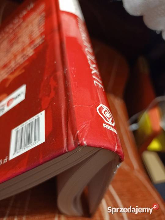 Powstanie Wielkopolskie Marek Rezler Poznań