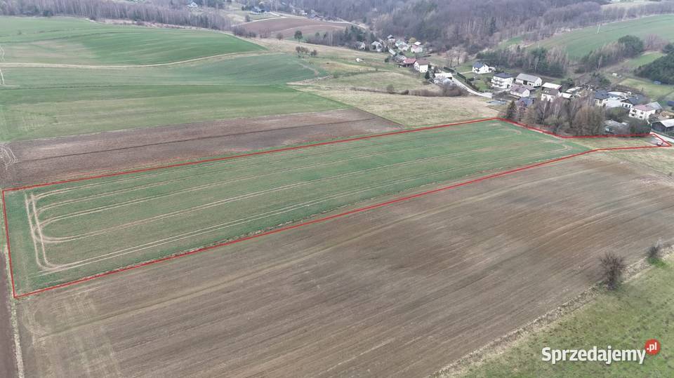 Piękna działkaMinoga Sprzedaż