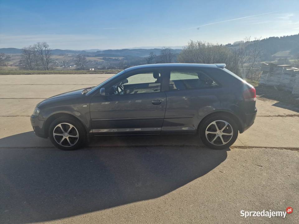 AUDI A3 SILNIK 20 TDI 6 BIEGÓW SPALANIE 55 LITRA diesel małopolskie Nowy Sącz sprzedam