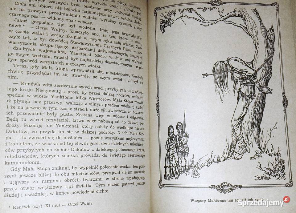 Gwiazda Mohawka YacktaOya Chełm