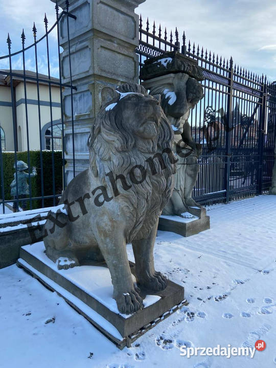 Lew pałacowy H220 figura z Kamienia dolnośląskie Wrocław