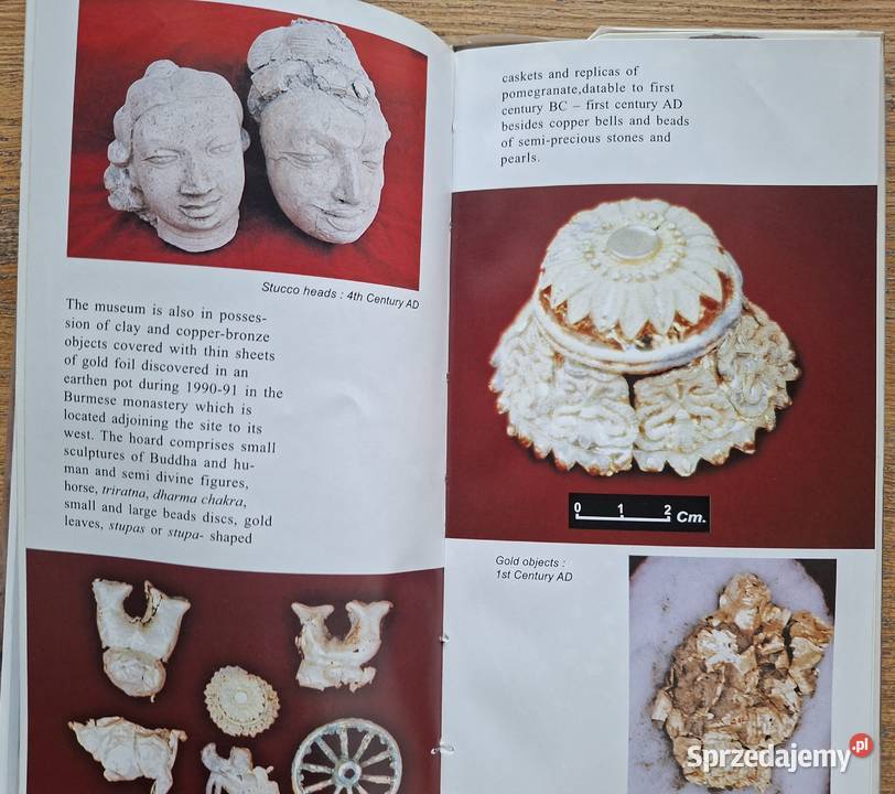 Sarnatha Archaeological Survey of India Kraków