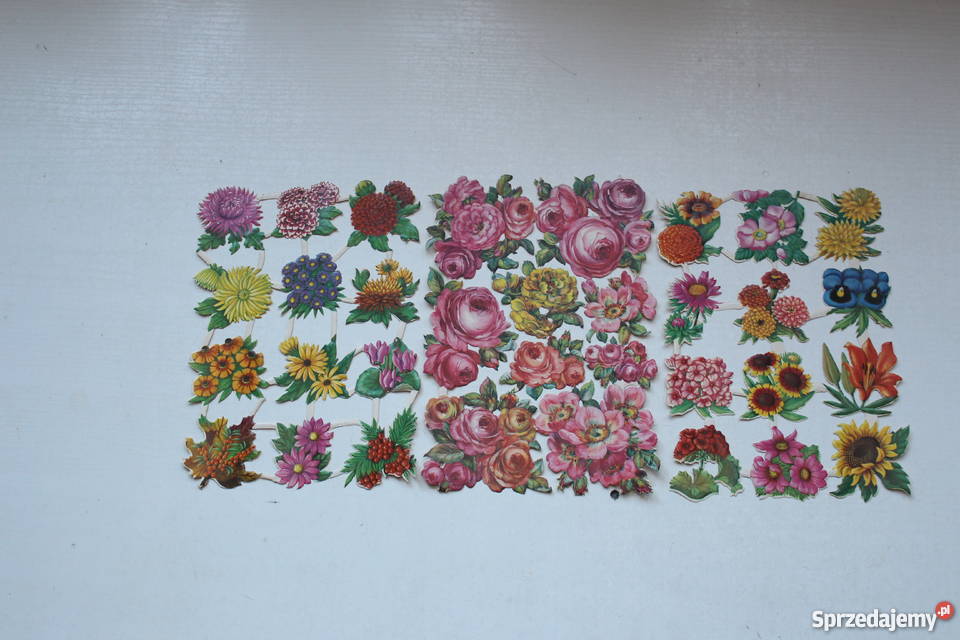 unikatowe obrazki wydzieranki Planet Verlag mazowieckie Warszawa