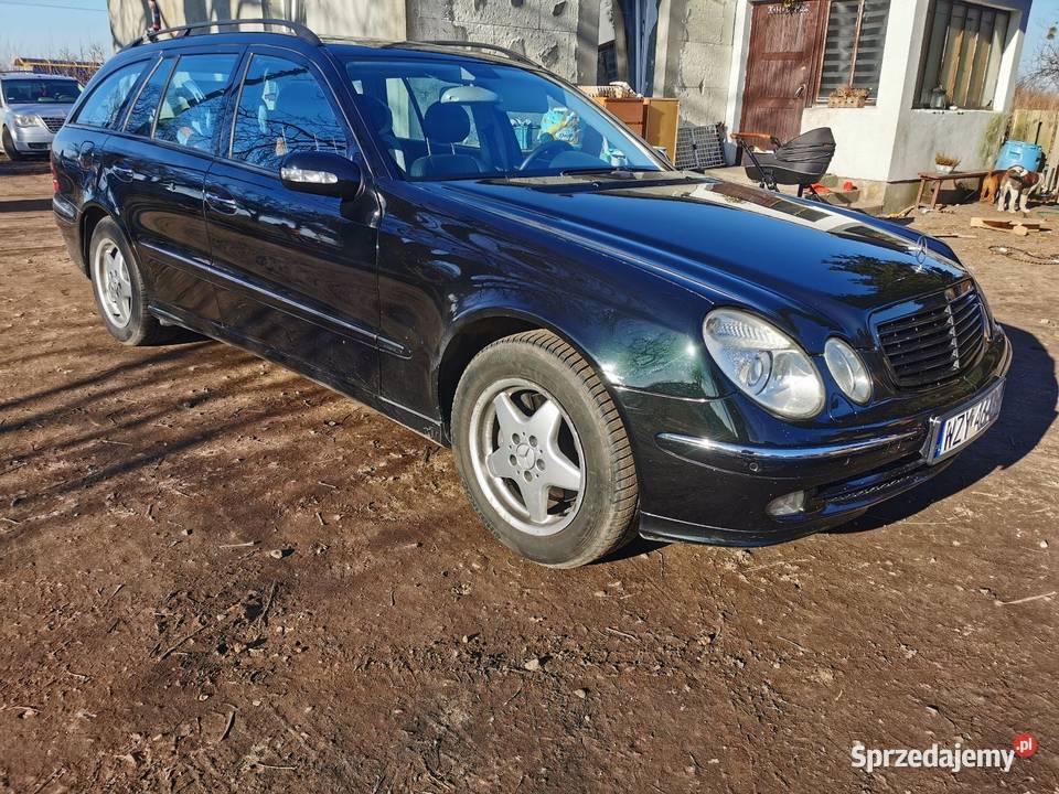 W211 32cdi avangarde 315000km Różanów