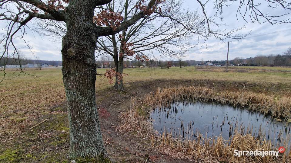 Sprzedam działkę 9243m2 Gąsocin 60 Warszawy Koźniewo Średnie
