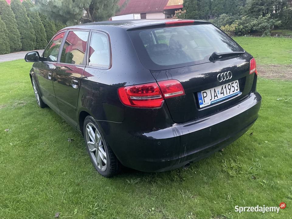 Audi A3 8P 2010r 16TDI A3 Kalisz