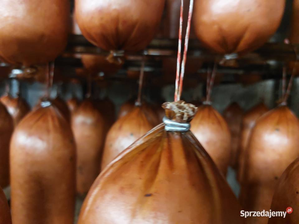 Klipsownica pneumatyczna dwurzędowa stołowa NOWA Biznes i Przemysł Żukowo