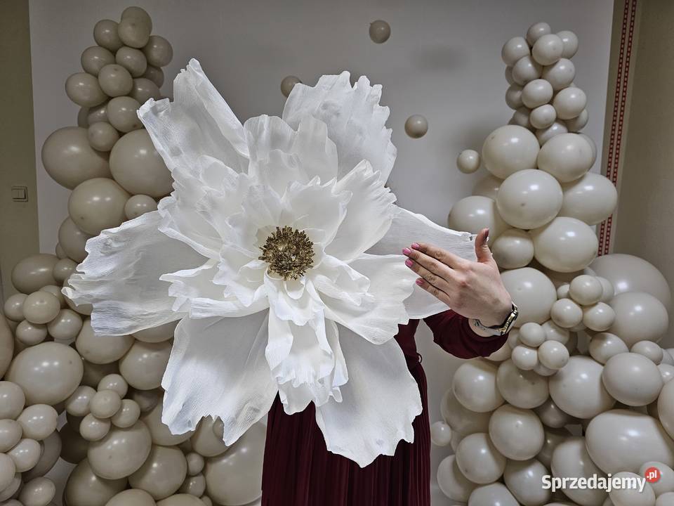Kwiaty giganty do Twojej dekoracji