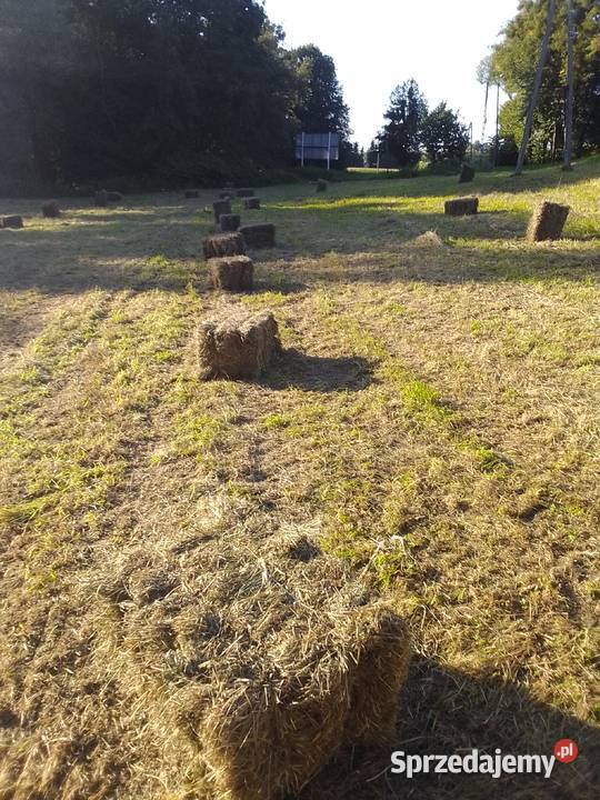 Siano prasowane w kostkach Kończyce Małe