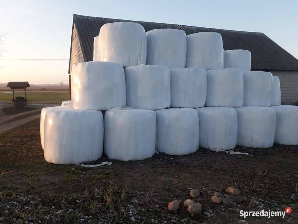 Sianokiszonka w belach podlaskie Knyszyn