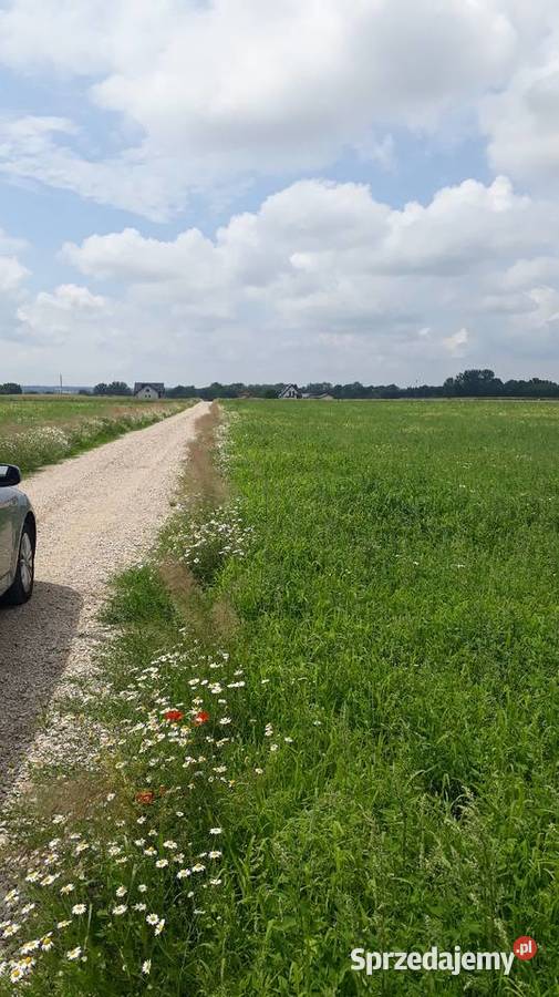 Działka rolno budowlana Łagiewniki pod Buskiem 7100m2