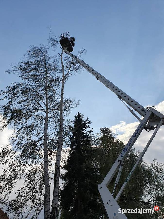 Podnośnik koszowy wynajem Zwyżka wynajem 20m śląskie