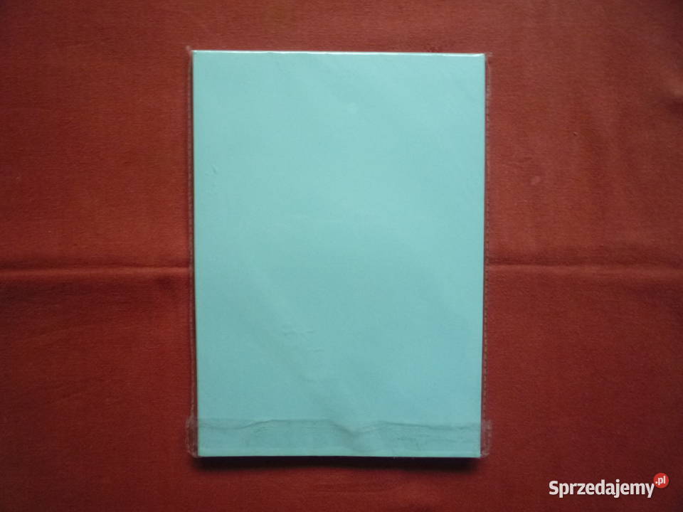 Papier kolorowy ksero Gimboo A4 100 arkuszy 5