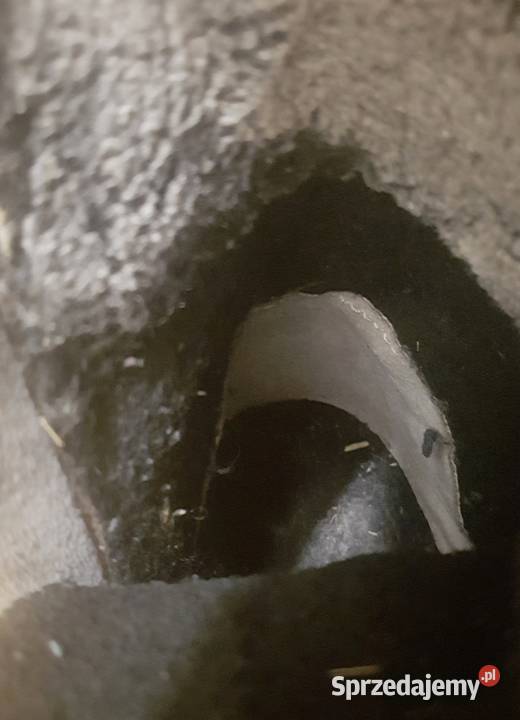 Trzewiki Lasocki r36 Rozmiar 36 Kraków sprzedam