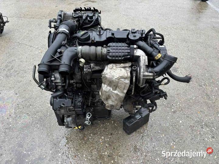 SILNIK KOMPLETNY 9H05 16 TDCI smax galaxy focus osobowe Puławy