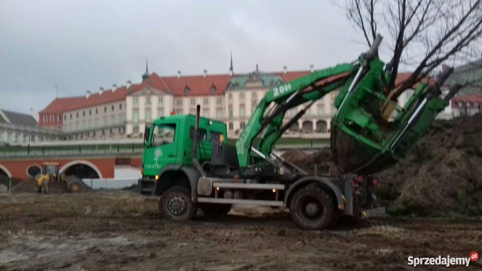 Przesadzanie drzew Rogalinek