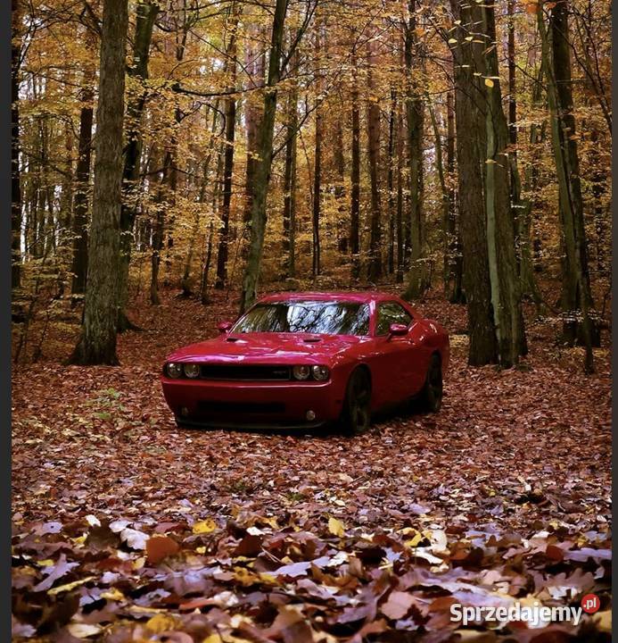 Challenger SRT8 64 V8 Gdynia