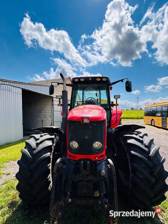 Massey Ferguson 6480 Siedliszcze