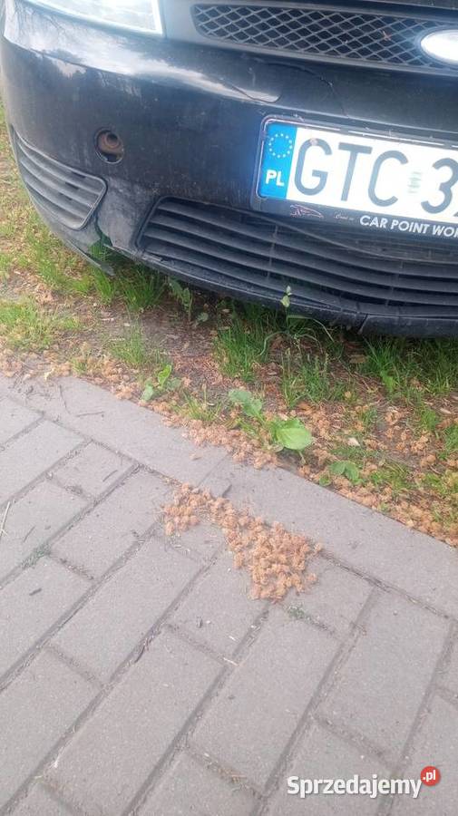 Ford Fiesta Benzgaz benzyna+LPG pomorskie Tczew sprzedam