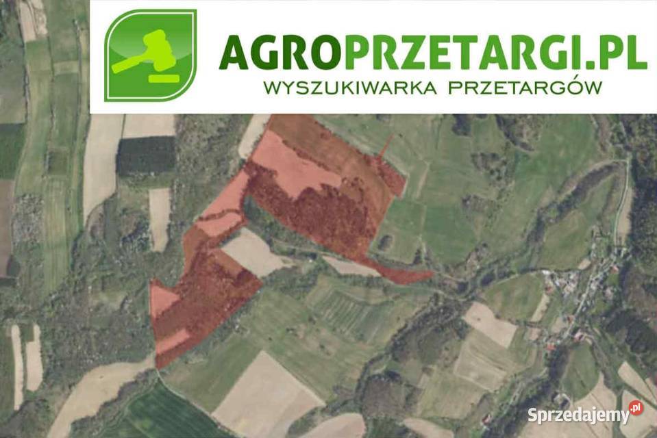 Dzierżawa 2953 ha gruntu rolnego Ząbkowice Śląskie