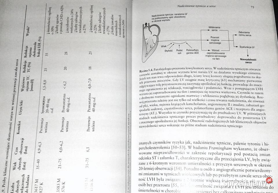 Nadciśnienie tętnicze i choroby współistniejące Chełm