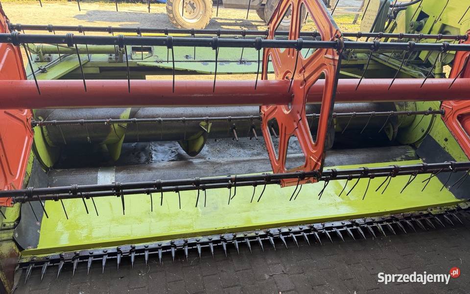 Heder 3m cięcia ze stołem do rzepaku claas Do kombajnów lubelskie Zahajki