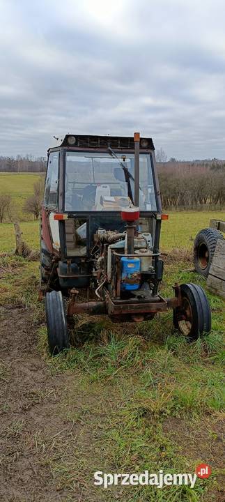 Zetor 7711 turbo Dobre Miasto