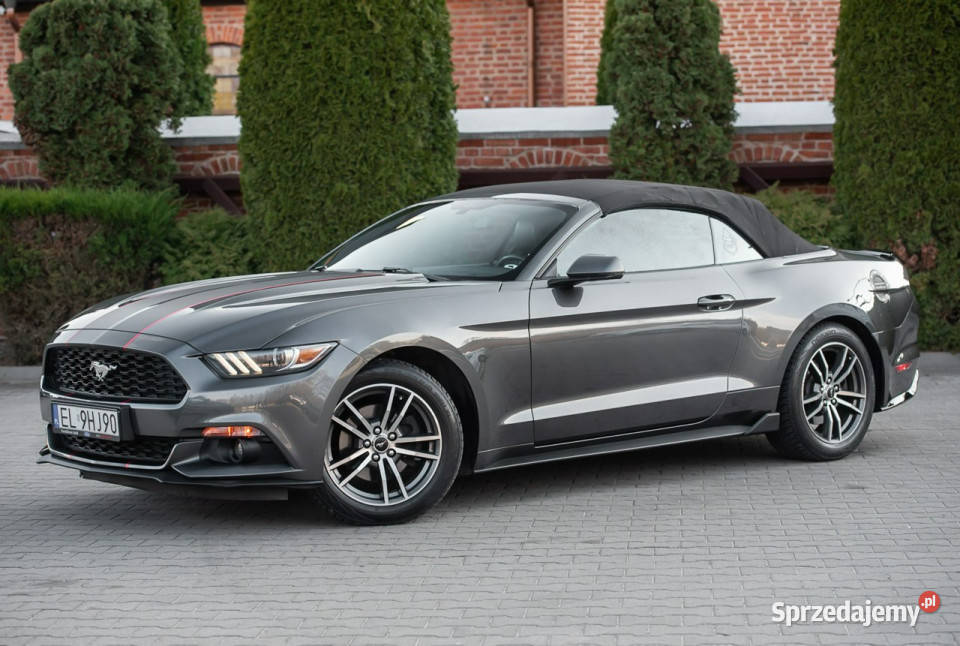 Ford Mustang Lift Cabrio 23i 317 Super Stan garażowany
