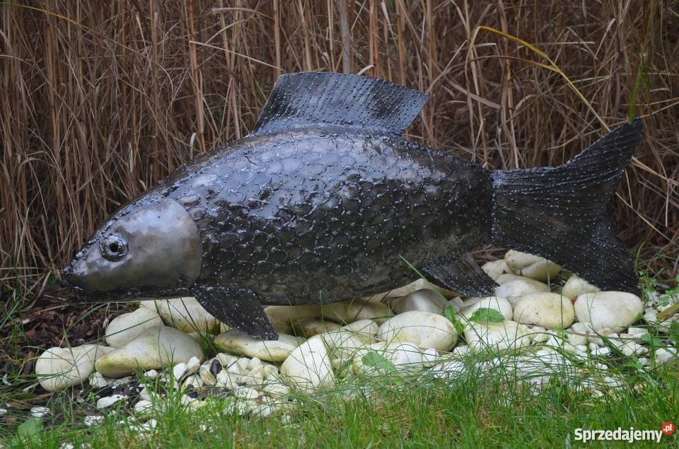 Ryba 85 karp tuńczyk z metalu do oczka ogrodu pomorskie