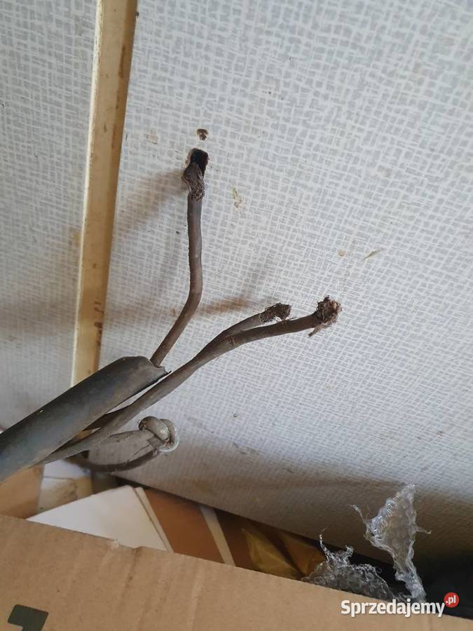 Kabel siłowy prądowy Stary kabel elektryczny Kable i przewody Warszawa sprzedam