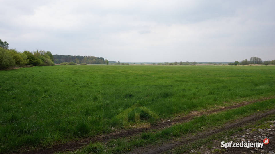 Nieruchomość w Całowaniu Całowanie