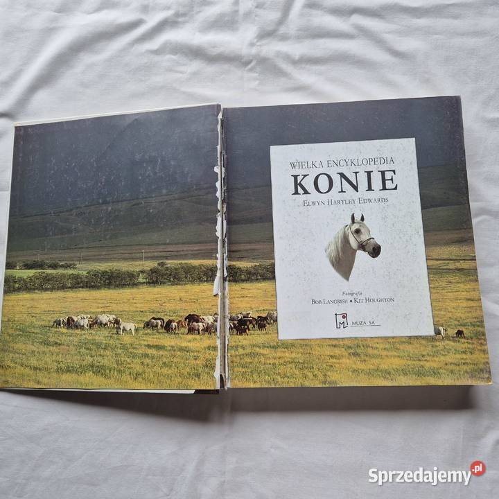 Wielka encyklopedia Konie Brzesko