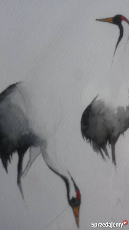 Żurawie symbol szczęścia akwarelka Dekoracje i ozdoby