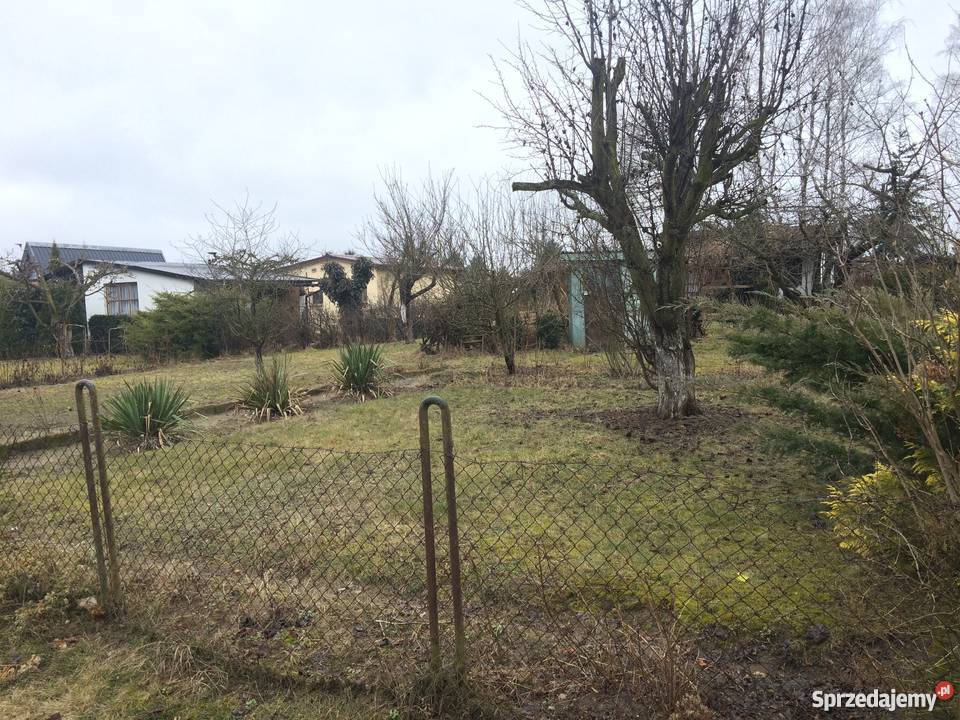 Działka ROD PoznańStrzeszyn na sprzedaż Grunty i działki