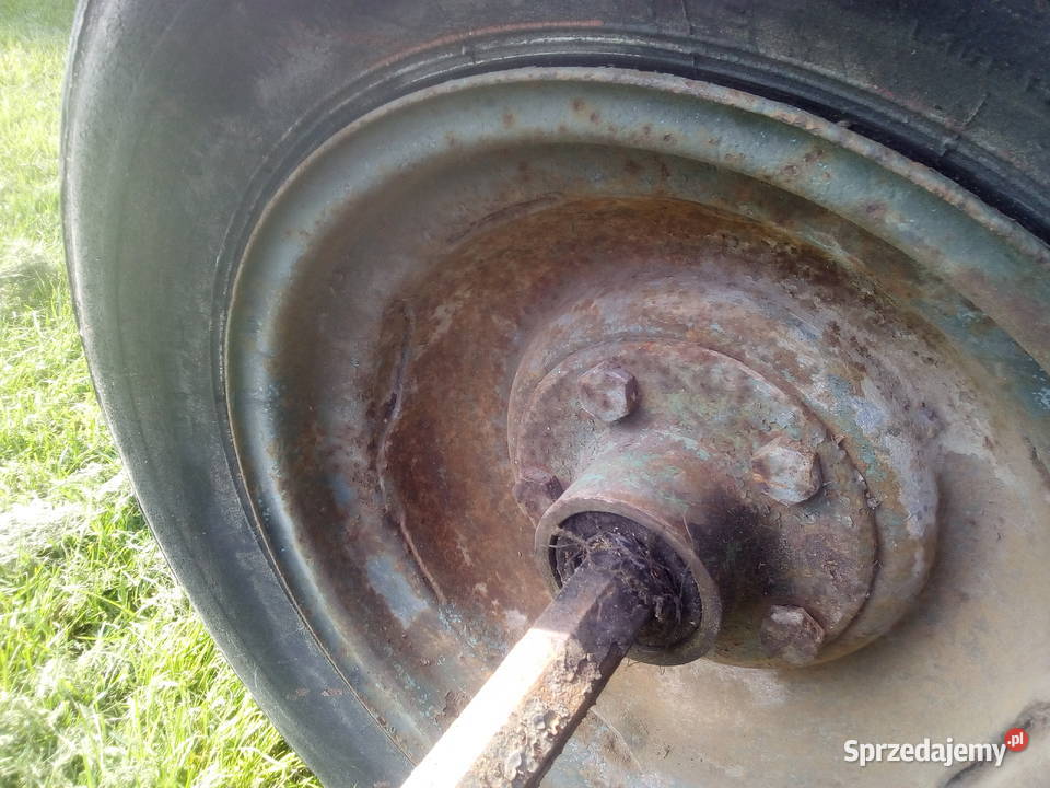 koła żuk świętokrzyskie Morawica