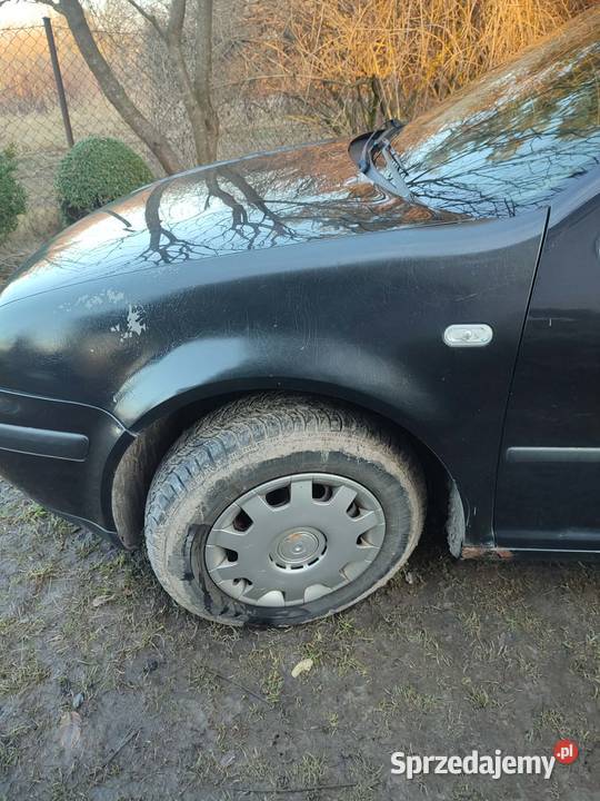 Volkswagen Golf IV Special 254000km lubelskie Ostrów Lubelski