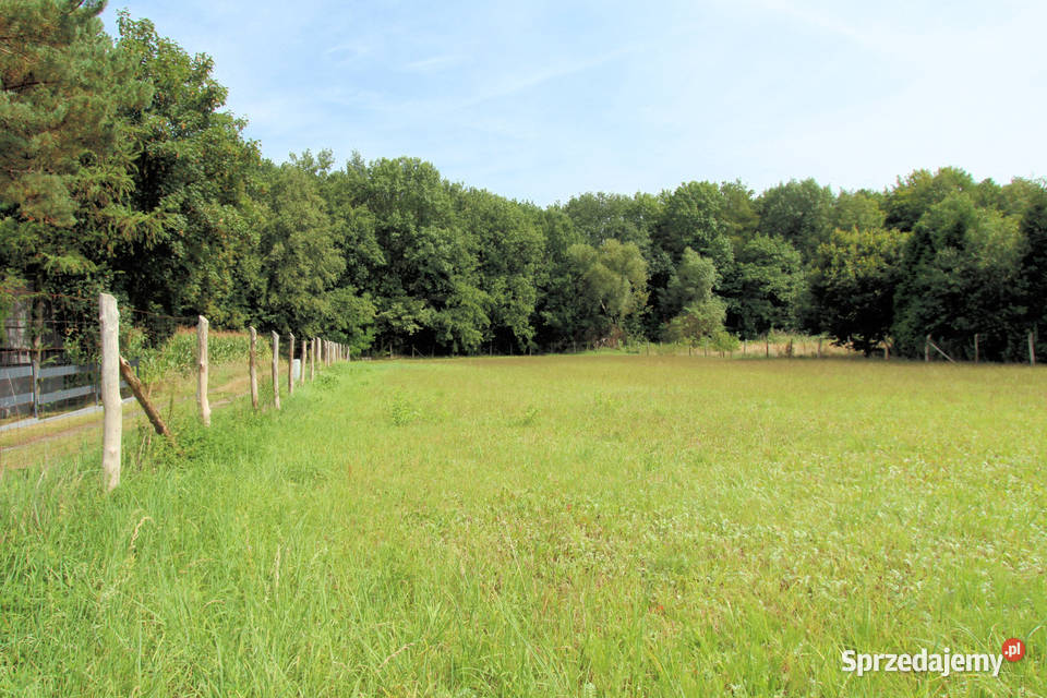 Działka na sprzedaż Mikołów Bujaków 1024 m budowlana Sprzedaż