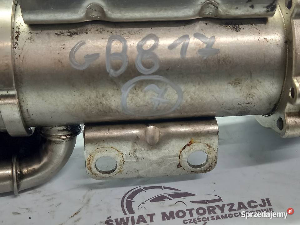 PRIMASTAR TRAFIC 20 DCI M9R780 115 chłodniczka Kielce sprzedam