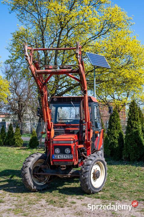 Zetor 5245 z turem Goliszew