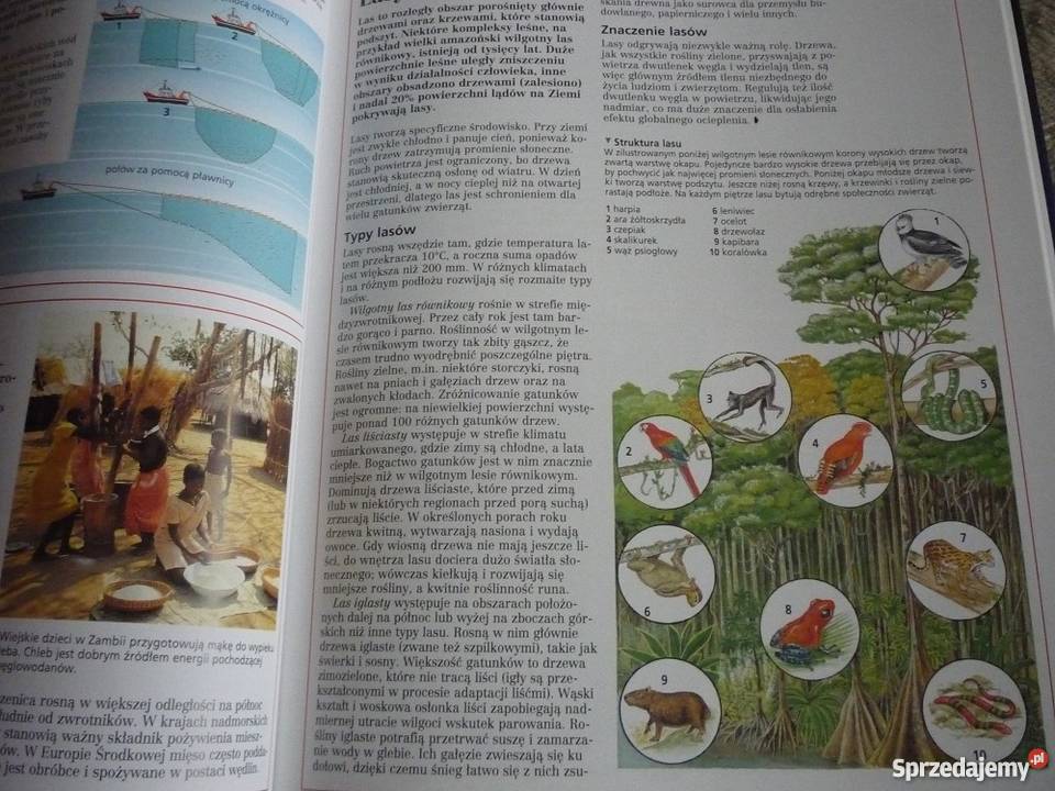 nowy Leksykon szkolny nasz świat Gdynia sprzedam