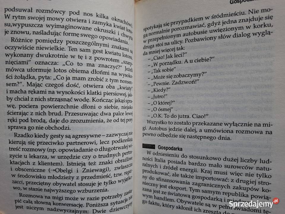 Kieszonkowa encyklopedia turysty Włochy miękka Książki i Podręczniki