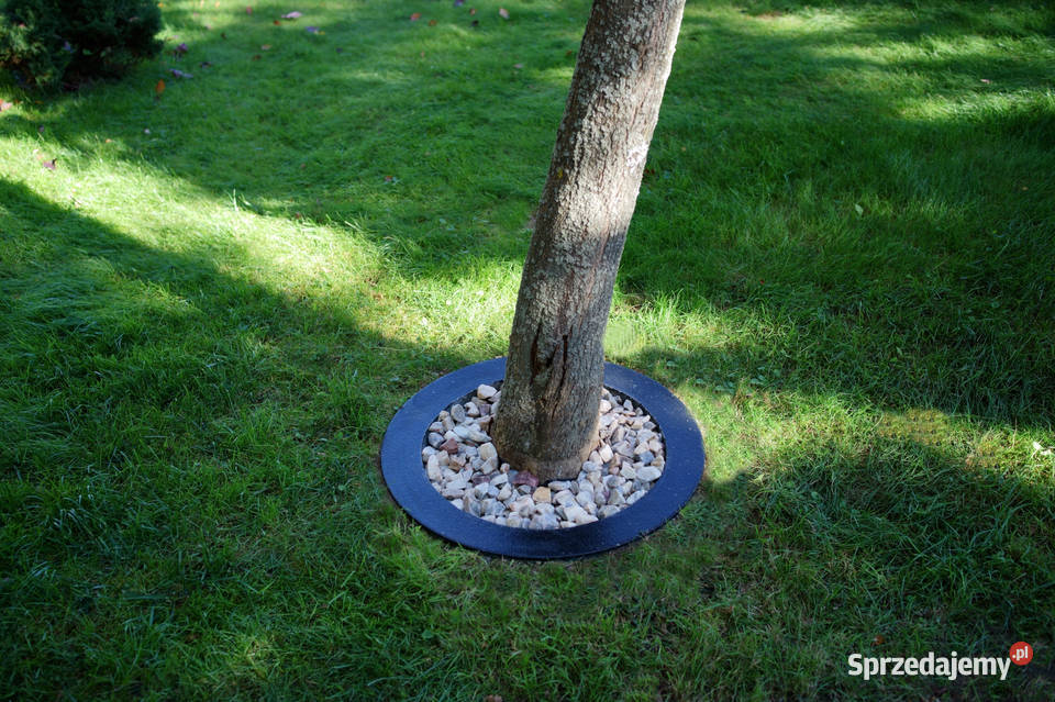 Obrzeże trawnikowe wokół drzew śr 70 Obrzeża i palisady Dębica