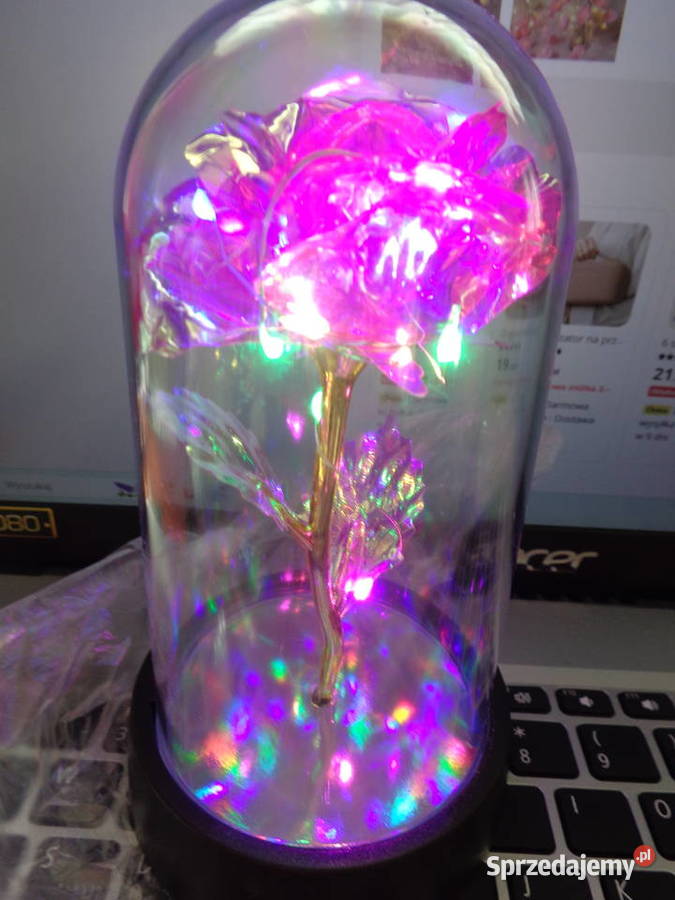 kolorowy nowy kwiatek świecący ozdoba Kompozycje kwiatowe Poznań