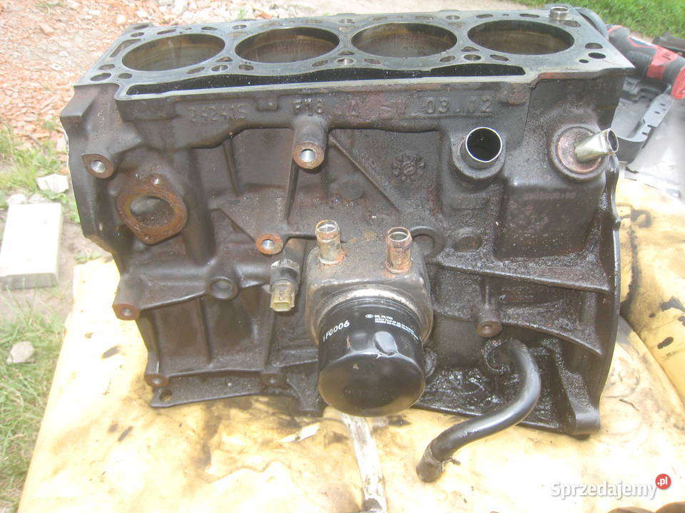Blok silnika Renault 19 DCI F9k Renault Nissan osobowe