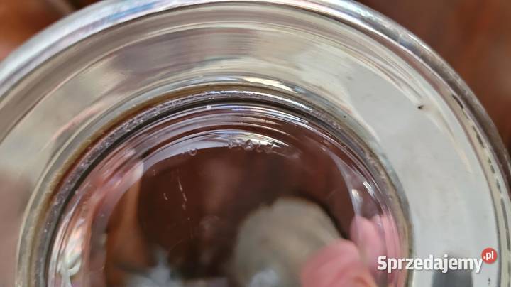 Eleganckie włoskie szklane puzderko z Kraków