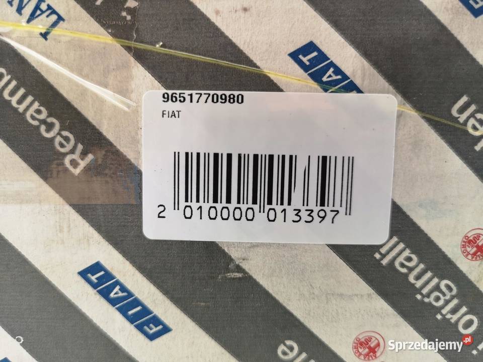 KOŁO PASOWE WAŁU ULYSSE PHEDRA SCUDO 20 22 JTD